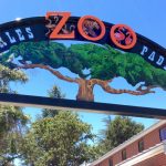 Friends of the Charles Paddock Zoo seeks passionate leaders for board