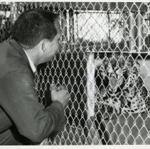 Charles Paddock with Leopard at the Atasc Zoo 1