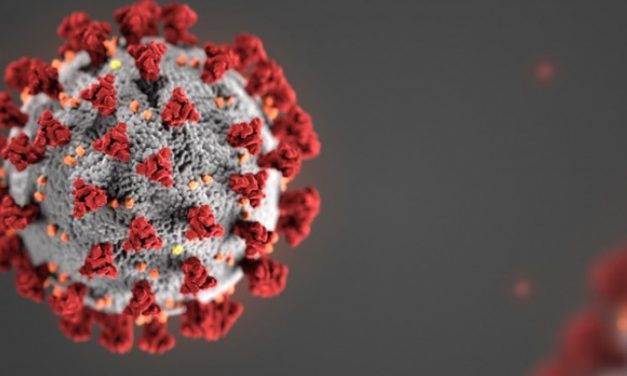 Reflecting on the pandemic