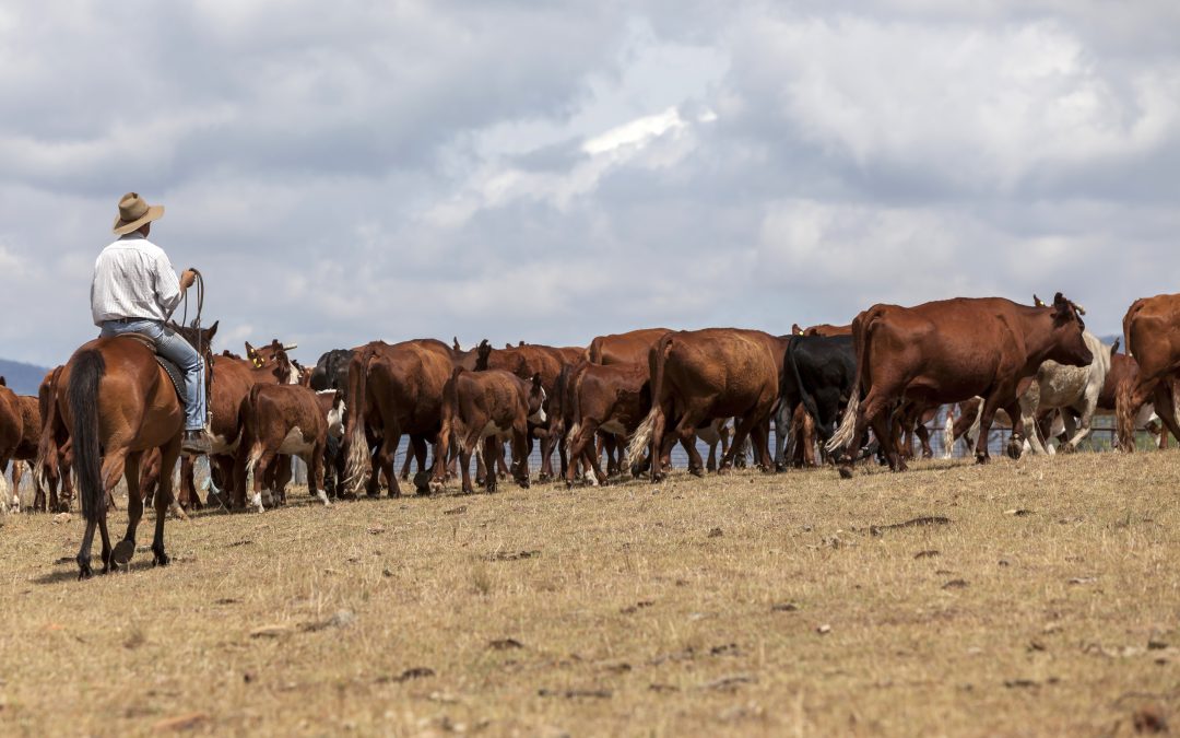 Recent BLM proposal could limit public land uses