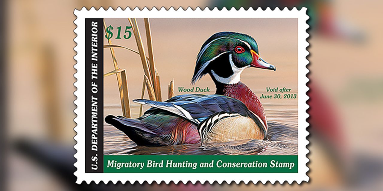 Artists Wanted for California Duck Stamp Art Contest