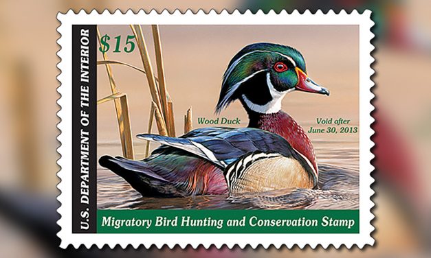 Artists Wanted for California Duck Stamp Art Contest