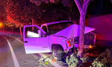 Car accident leaves two Atascadero FFA teens unable to participate in fair auction