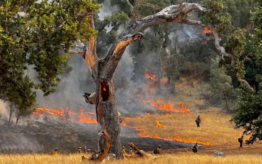 Gifford Fire expands to 122,065 acres; Containment holds at 33%