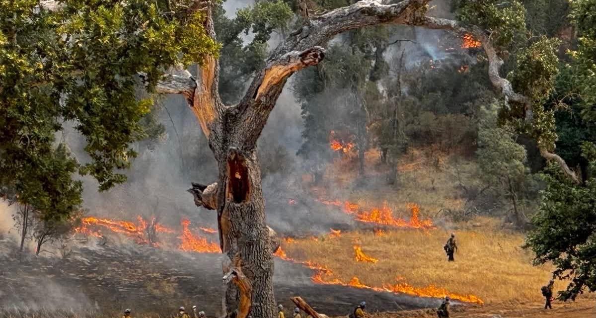 Gifford Fire expands to 122,065 acres; Containment holds at 33%
