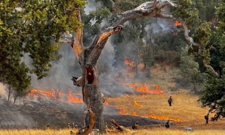 Gifford Fire expands to 122,065 acres; Containment holds at 33%