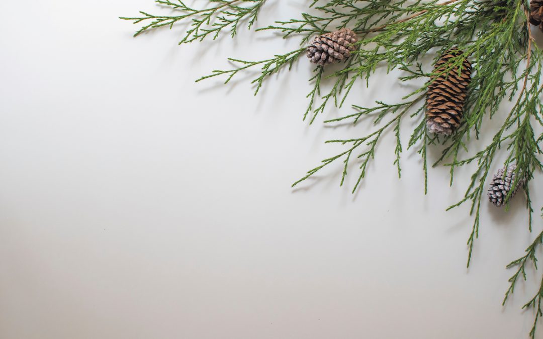 Recent Happy Holidays from all of us at Atascadero News Magazine