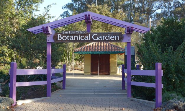 SLO Botanical Garden: Capturing California’s Flowers: Natural History in the Digital Age