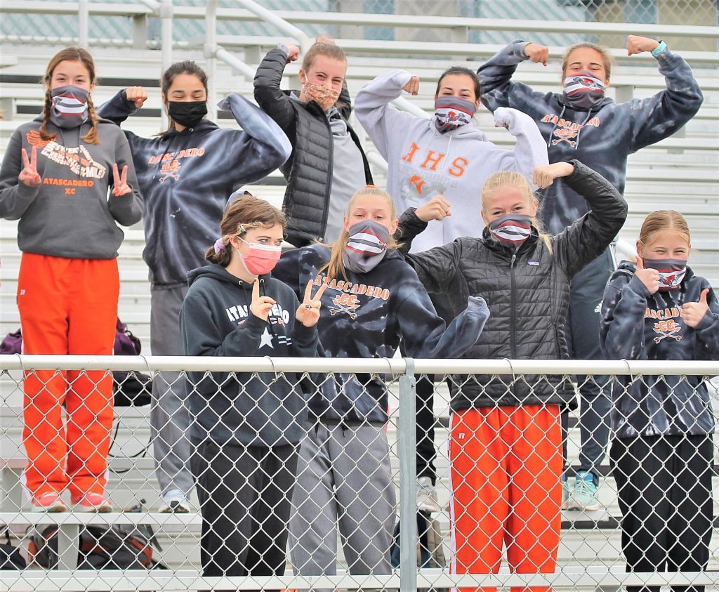 Greyhound Runners in the Stands