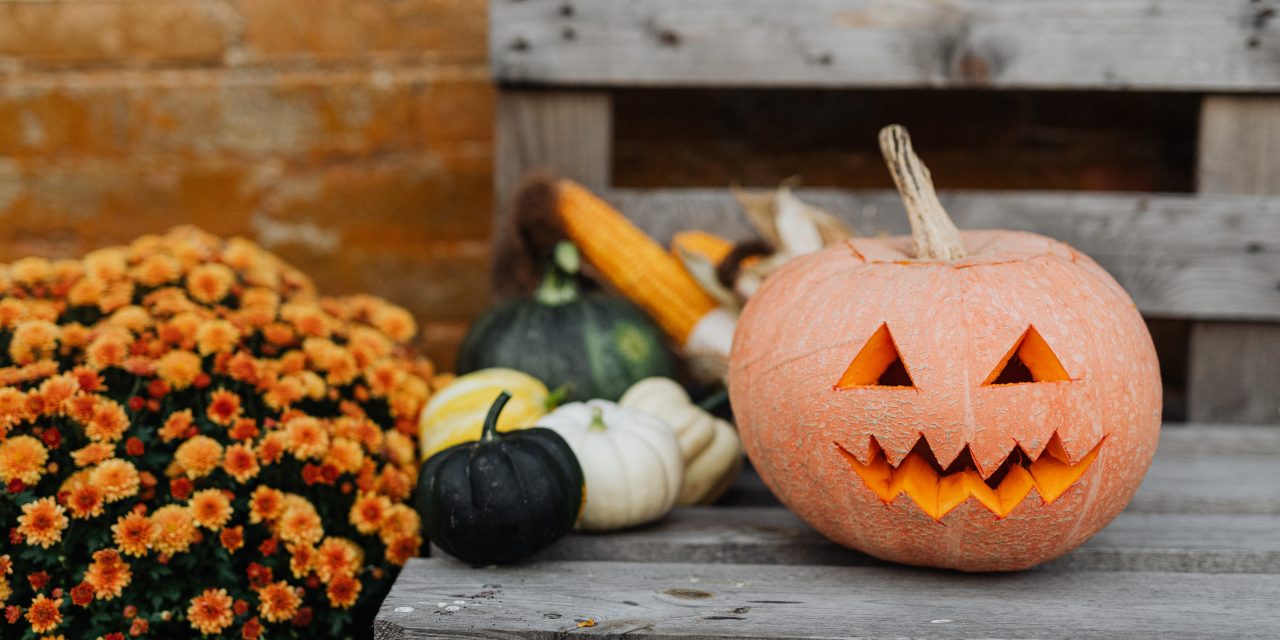 County Health Officer Issues Guidance for Safer Halloween Activities During COVID-19