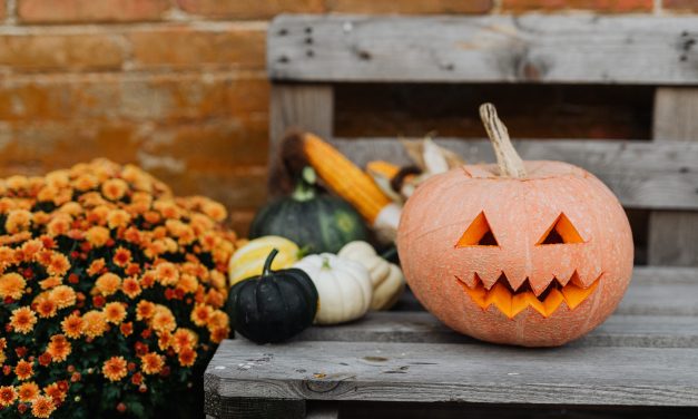 County Health Officer Issues Guidance for Safer Halloween Activities During COVID-19