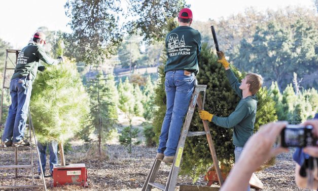 42 New Girl Scout Badges Announced