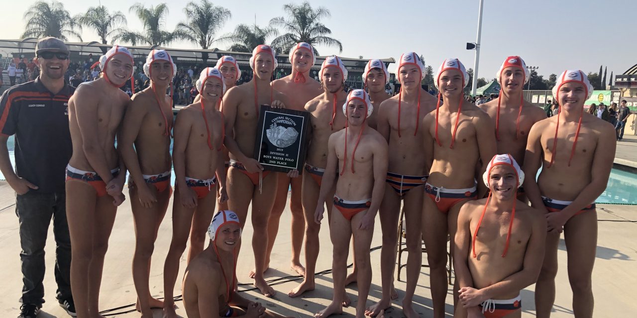 Greyhounds Fall in D2 Boys Water Polo Final