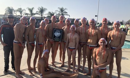 Greyhounds Fall in D2 Boys Water Polo Final