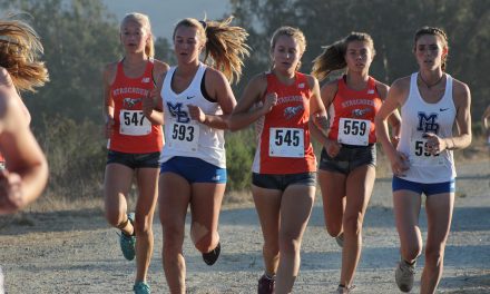 Bearcats and Hounds Cross Country Gearing up for CIF
