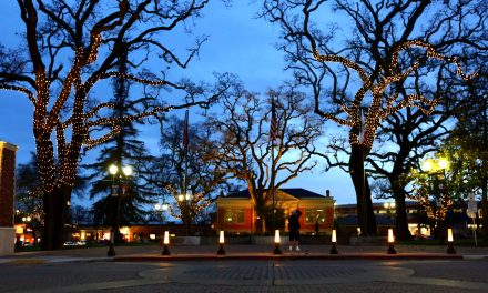 Lights of Hope Returns to Paso Robles City Park for 10th Anniversary