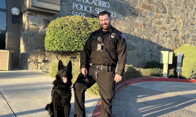 Atascadero Police Department welcomes new K-9, Maverick, to the force