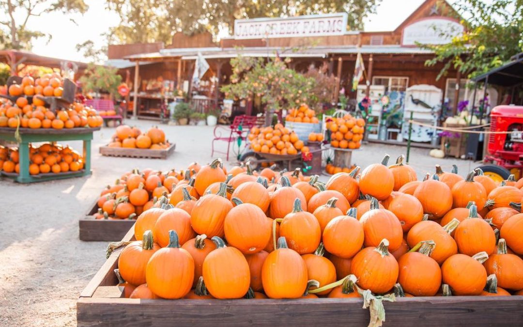 Recent Local Farm Shares Effects from Recent Heat Wave