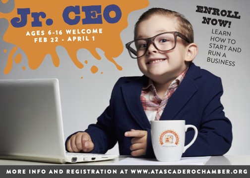 Last Call for Junior CEO Virtual Youth Education Program 