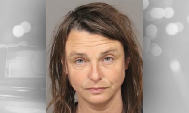 SLO County jury convicts woman of felony hit-and-run and DUI causing injury