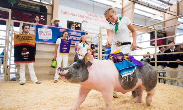 FFA Members Prepared for California Mid-State Fair