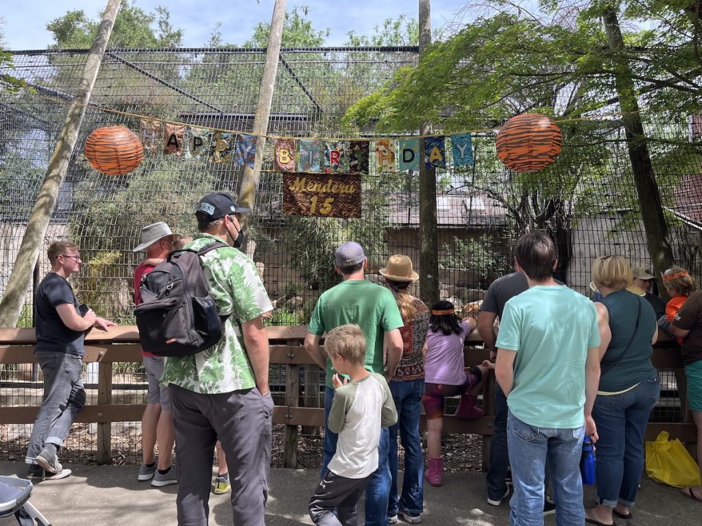 Brew at the Zoo Raises Over 22,000 for Friends of the Charles Paddock