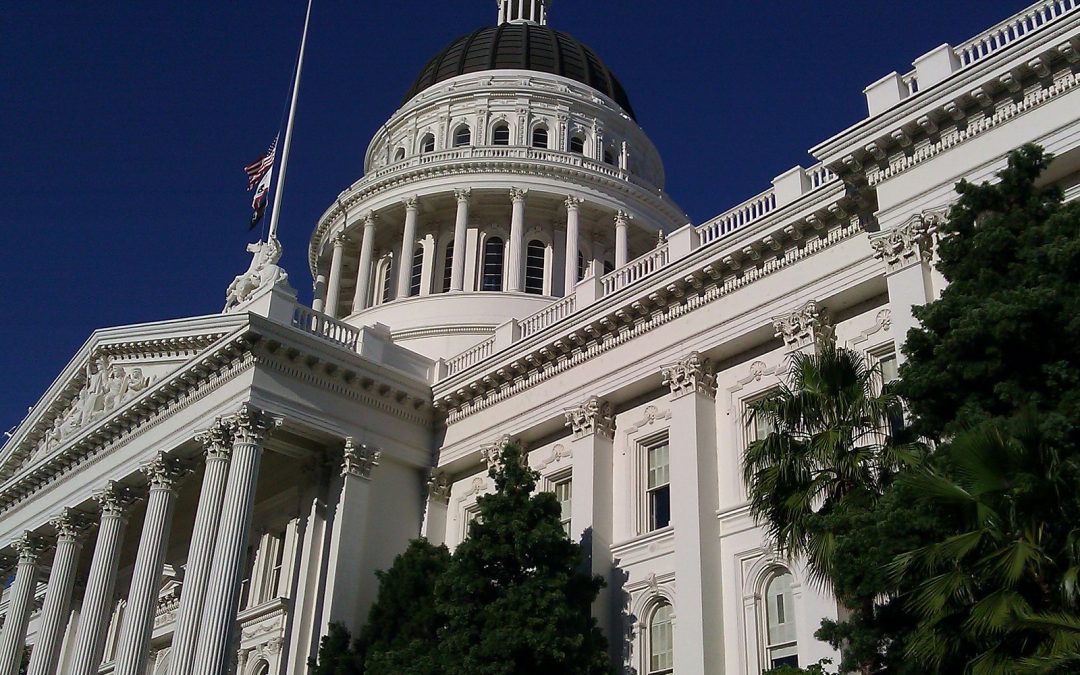 Recent New laws debut in California