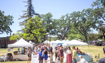 Olive and Lavender Festival Return for 18th and 14th Year