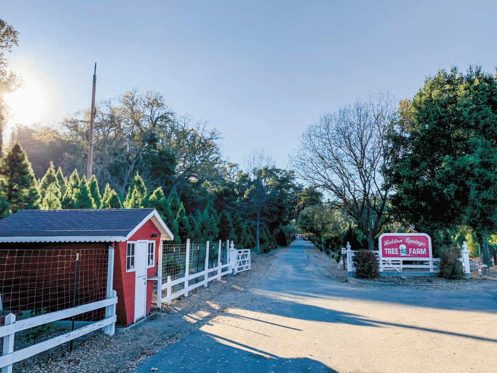 PRP Hidden Springs Tree Farm 02 1