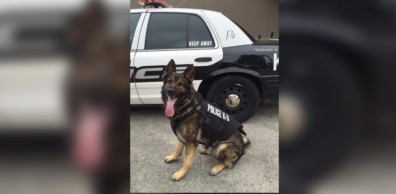 The Passing of Atascadero Police K-9 “Pit”