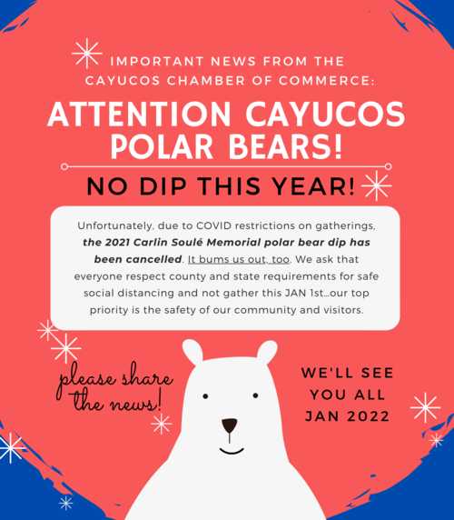 PolarBearDipAnnouncement2 1