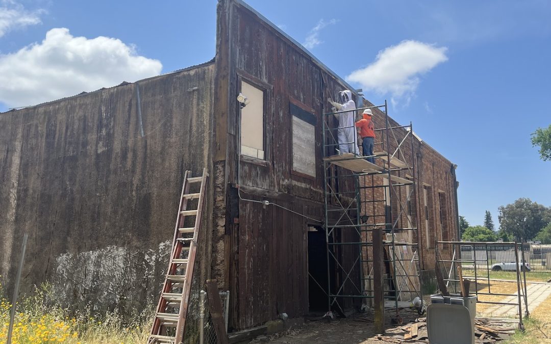 Recent Atascadero Printery Foundation starts demolition on dilapidated karate studio