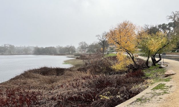 Rain Visits San Luis Obispo County