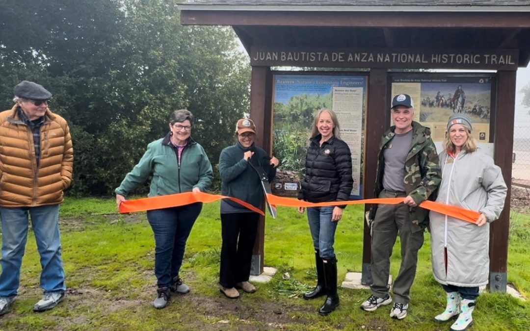 Recent Atascadero unveils interpretive panels celebrating local beaver population