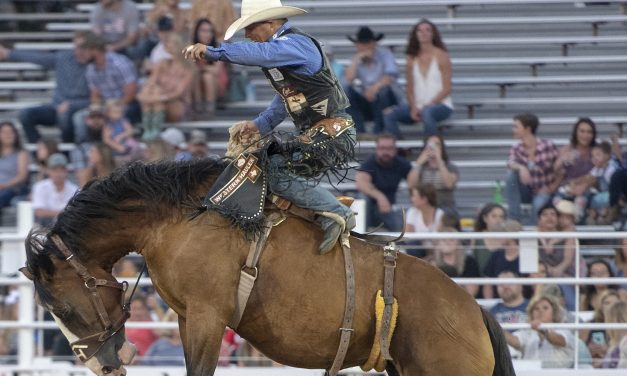 SLO County Sheriff’s Rodeo Postponed to May 2022