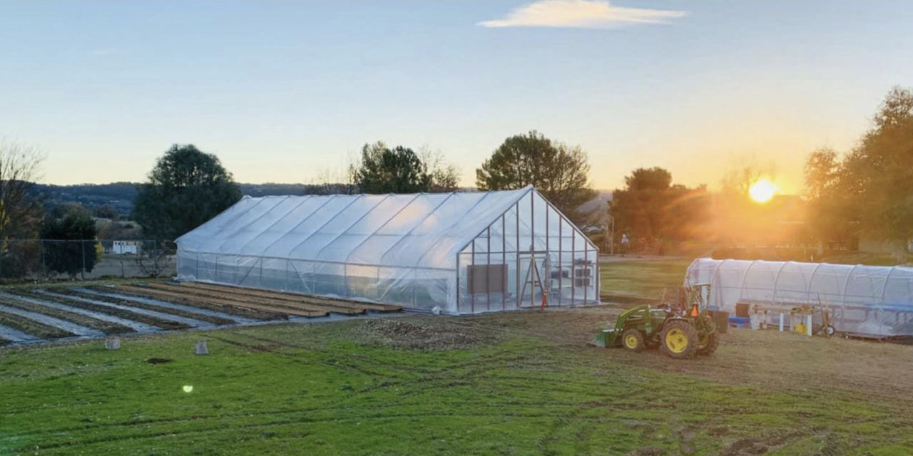 Templeton Hills Community Farm Prepares for First Anniversary Celebration