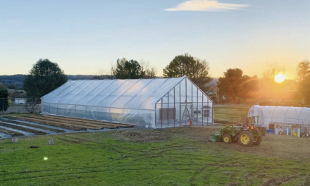 Templeton Hills Community Farm Prepares for First Anniversary Celebration