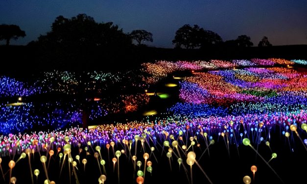 Sensorio Field of Lights Re-Opens with Newly Added Light Towers