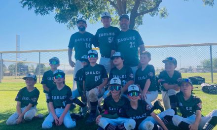 Templeton Youth Baseball League All-Stars Play in State Tourneys