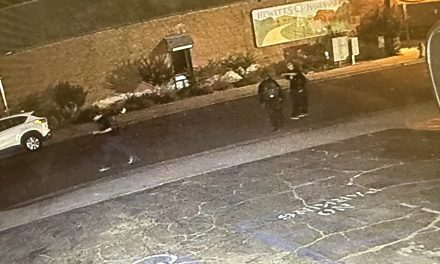 Authorities Seek Public’s Help in Templeton Feed and Grain Fire Investigation