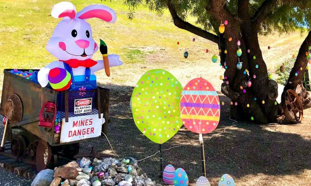 Virtual Egg Hunt Brings Community Together for the Second Year