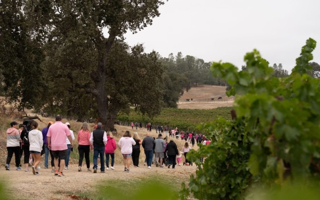 Join Cancer Support Community for 3rd Annual Walk for Cancer at Santa Margarita Ranch