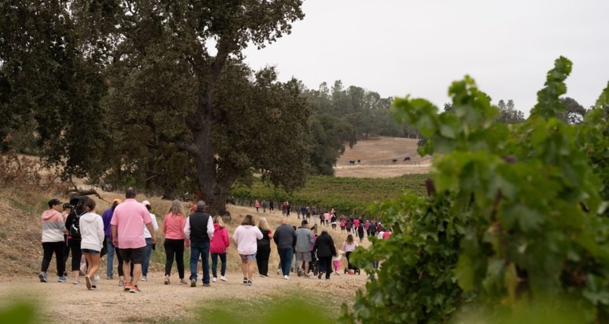 Join Cancer Support Community for 3rd Annual Walk for Cancer at Santa Margarita Ranch