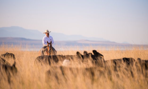 Local Photographer Debuts First Film ‘Where There Once Was Water’