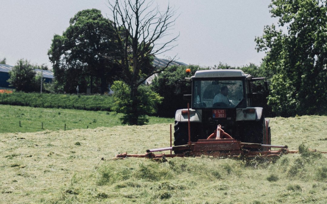 Recent Reminder that Clearing Weeds is a Priority in Preparation for Fire Season