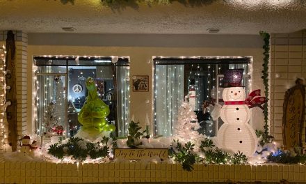Morjesi Salon Takes First Prize In Window Decoration Competition