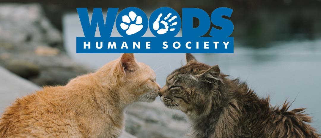 Woods Humane Society Announces Giving Tuesday Match Challenge
