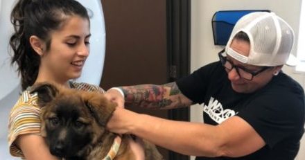 Woods Humane Society announces four free microchip clinics in May