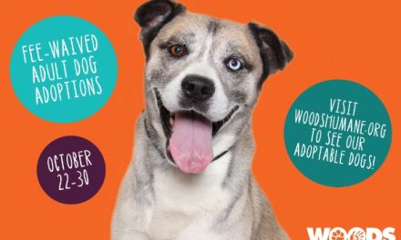 ASPCA® and Subaru Loves Pets Award $4,000 Grant Woods Humane Society