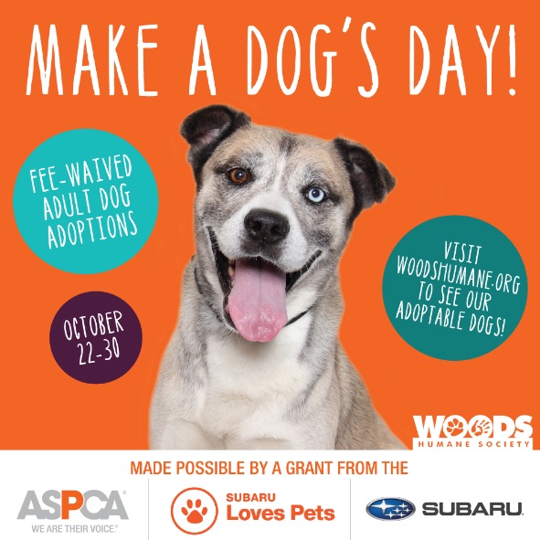 ASPCA® and Subaru Loves Pets Award $4,000 Grant Woods Humane Society